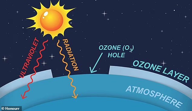 Ozone formed in the stratosphere usually absorbs almost all the rays from the sun, protecting life on Earth from harmful radiation.